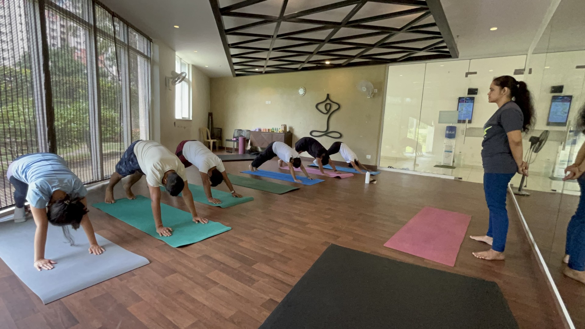 Group class flowing through downward-facing dog